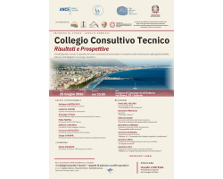 Collegio Consultivo Tecnico. Risultati e Prospettive